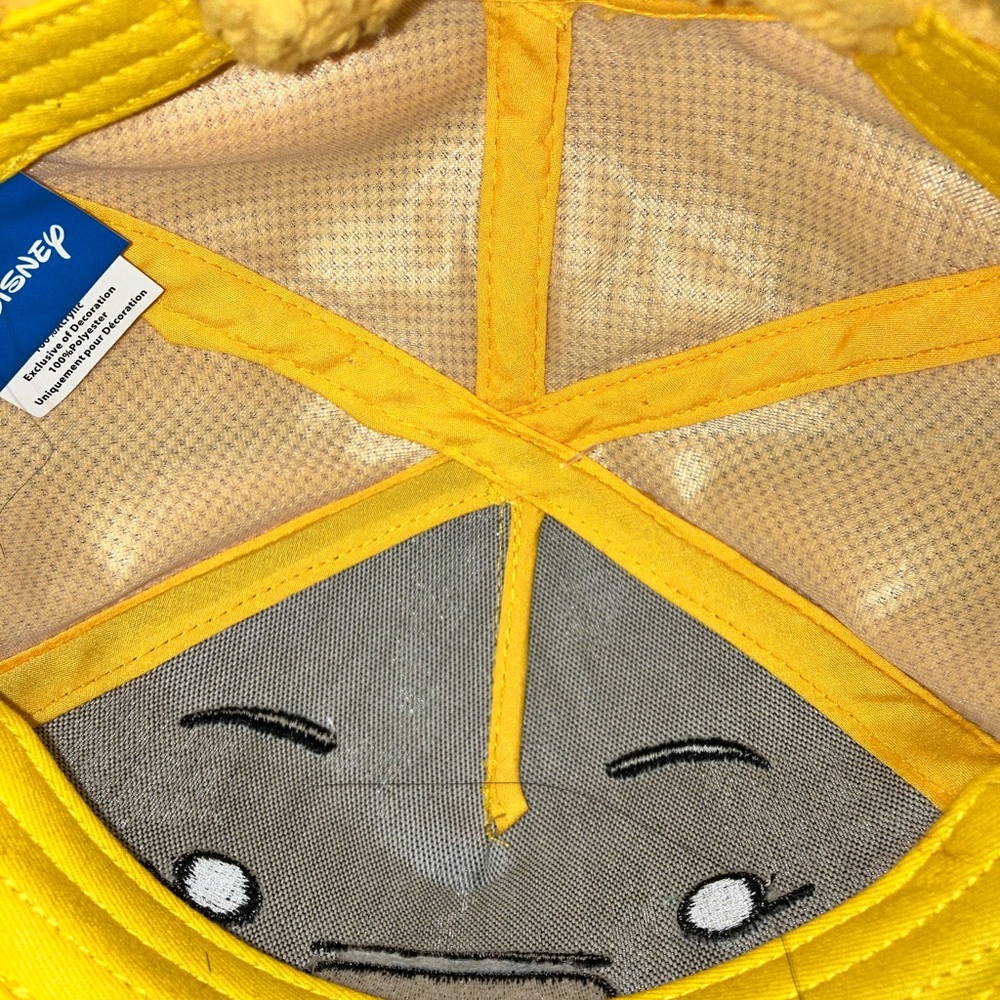 Disney Winnie the Pooh fuzzy hat